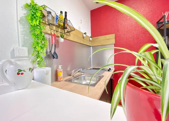 ~ Le Terracotta ~ 1/4 Pers / Futuroscope Apartment